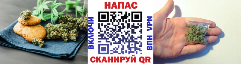 Canna-Cookies конопля  сколько стоит  Будённовск 