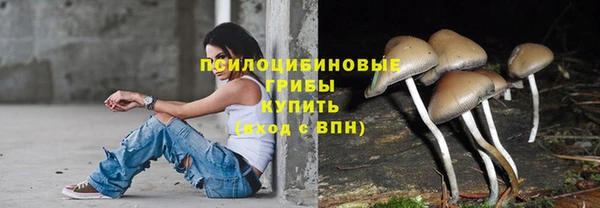 стаф Беломорск