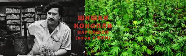 прущие крисы Богородицк
