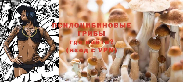 стаф Беломорск