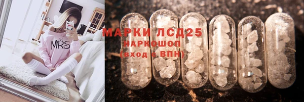 стаф Беломорск